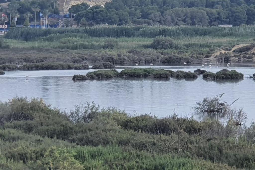 Encantador Relajante Naturista Torremar Vera Playa Eksteriør bilde